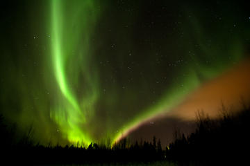 Evening Reindeer Safari in the Arctic Night in Rovaniemi