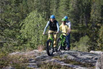 Fatbike Day Trip in Rovaniemi
