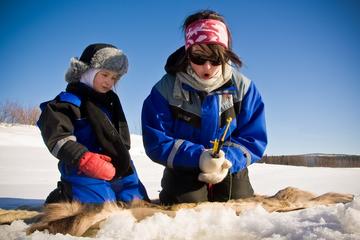Lapland Reindeer Safari to Wilderness Lake and Ice Fishing from Rovaniemi