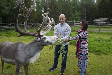 Visit to reindeer and husky farm and visit Santa Claus Village in Rovaniemi