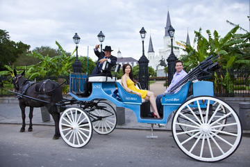 VIP Private Carriage Tour of French Quarter