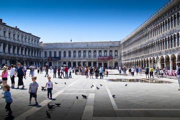 PRIVATE OVERVIEW OF VENICE
