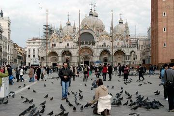 venice city experience