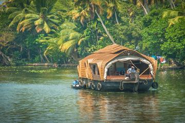 Private Overnight Alleppey Houseboat Cruise from Kochi