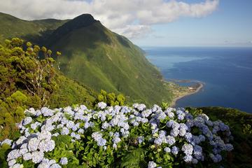 Full-Day São Jorge Island Tour leaving from Faial Island