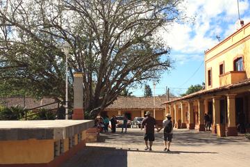 El Tuito Day Trip from Puerto Vallarta with Tequila and Lunch