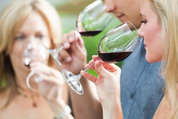 Full-Day Niagara Wine Tour and Tastings
