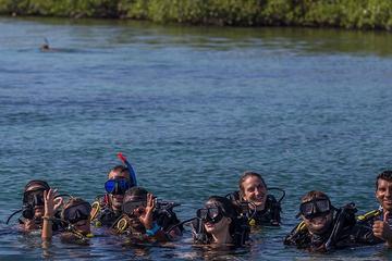 Diving in Bocas del Toro