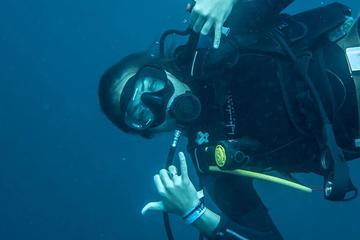 Two Tank Dive in Bocas del Toro