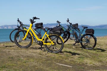 Full-Day Electric Bike Rental in Napier