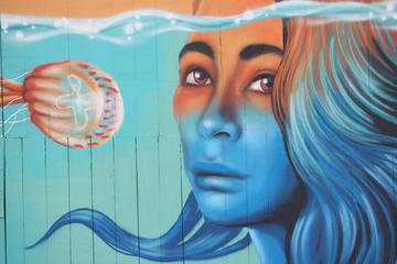 Half-Day Self-Guided Street Art Biking Tour in Napier and Ahuriri