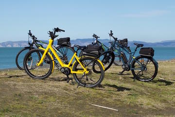 Self Guided Electric Bike Rental in Napier