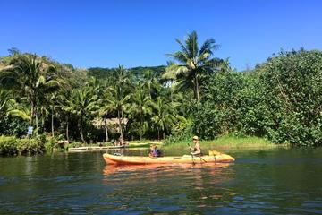 Guided Kayak Adventure on the Wailua River