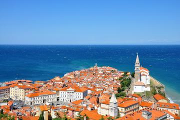 Private tour to Lipica and Slovenian Coast from Ljubljana