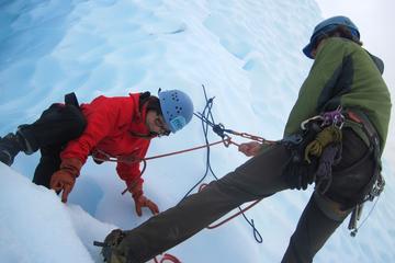 Matanuska Glacier Advanced Ice Fall Trek