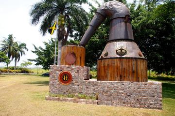 Hampden Rum Tour