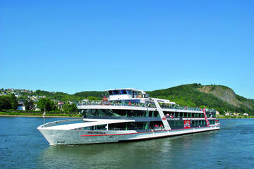 Rhine River Cruise to Königswinter with Sea Life Visit or Drachenfels Cliff