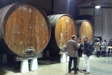 Cider Museum and Typical Cider House Lunch from San Sebastian