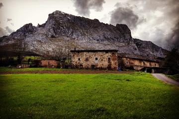 Idiazabal Cheese Farm and Traditional Basque Cider House Lunch Day Trip from San Sebastian