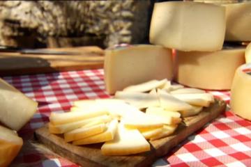 Idiazal Cheese Farm Day Trip from San Sebastian