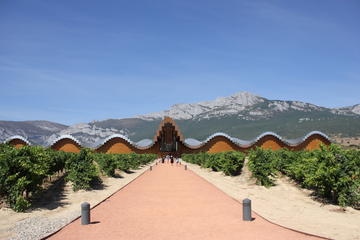 Rioja Wineries Tour from San Sebastian with Lunch