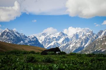 Mountains and canyons - private 3-days trip to Svaneti via Martvili and Okatse canyons