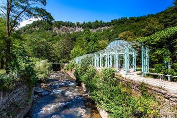 Private full day trip to Borjomi, hot springs, Uplistsikhe cave town and Gori