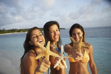 Sand Dollar Half Day Snorkel Trip