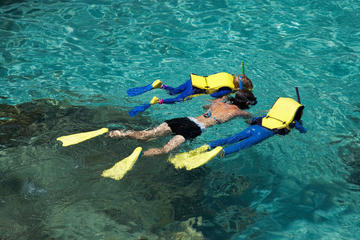 St Maarten Shore Excursion: Sand Dollar Half Day Snorkel Trip