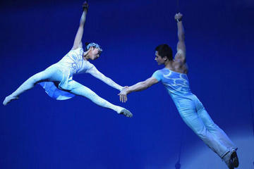 Beijing Acrobat Show Night Tour with Private Transfer and Optional Seats