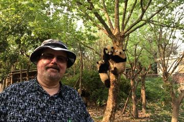 Chengdu Panda Base Half Day Tour
