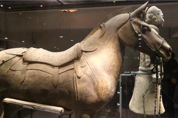 Half-Day Private Tour of Xi'an Terracotta Warriors and Horses Museum