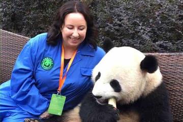 Panda Holding Tour at Dujiangyan Panda Base