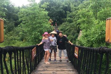 Qingcheng Mountain and Dujiangyan Irrigation Private Day Tour