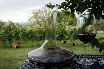 1 Day Wine Tour in Kakheti Region