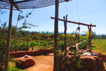 Marrakech Atlas Ourika Valley Private Day Trip with Setti Fatma and Saffron Farm