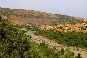 Marrakech High Atlas, Toukbal National Park, and Imlil Private Day Trip