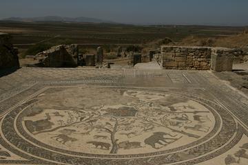 Meknès and Roman Ruins of Volubilis Private Tour from Fez