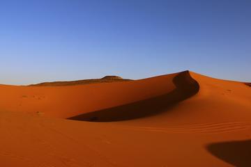 Merzouga Dunes and Berber Culture Private Day Trip with Lunch