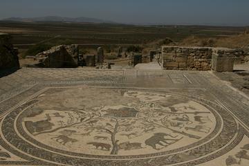 Private Day Trip to Meknès and the roman ruins of Volubilis from Casablanca
