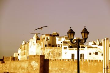 Private Guided Day Trip to Essaouira from Agadir