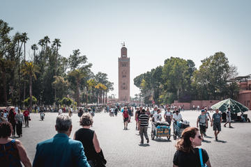 Private Tour: Marrakech walking tour and Camel riding