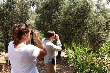 Bird Watching Tour with Ephesus Visit from Kusadasi