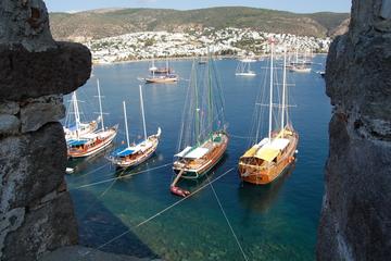 Bodrum Castle Underwater Archeology Museum with Private Guide and Van