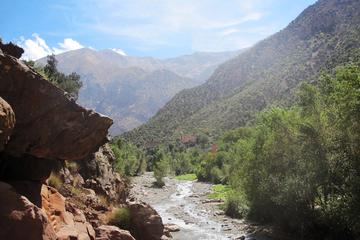 Ourika Valley: Day Trip from Marrakech