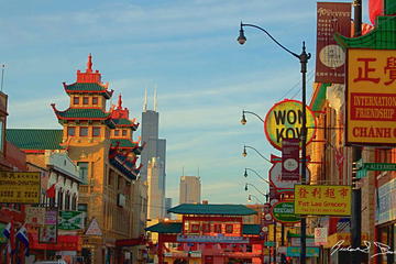 Chicago Tastes of Chinatown Walking Food Tour