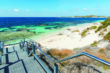 Rottnest Island Oliver Hill Train and Tunnel Day Trip from Fremantle