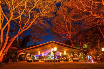 Cairns Flames of the Forest Dining Experience