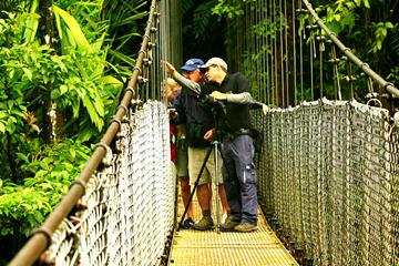 Mistico Park Hanging Bridges Guided Tour