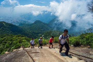 Pico da Tijuca Small-Group Hiking Tour